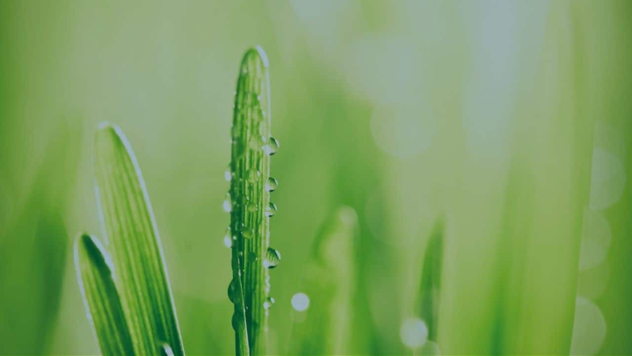 Buteyko Methode Erfahrungen